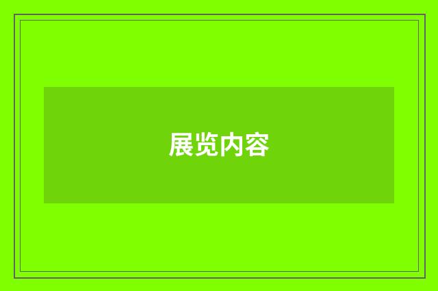 展览内容