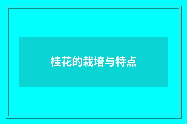 桂花的栽培与特点