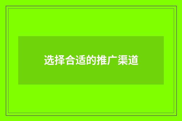 选择合适的推广渠道