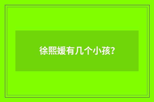 徐熙媛有几个小孩？