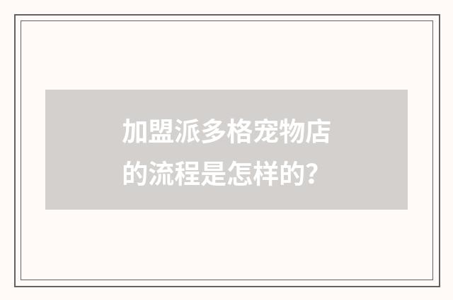 加盟派多格宠物店的流程是怎样的？