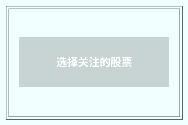 选择关注的股票