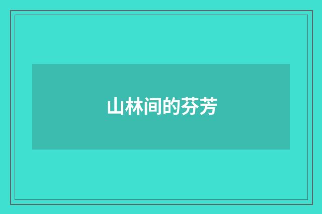 山林间的芬芳