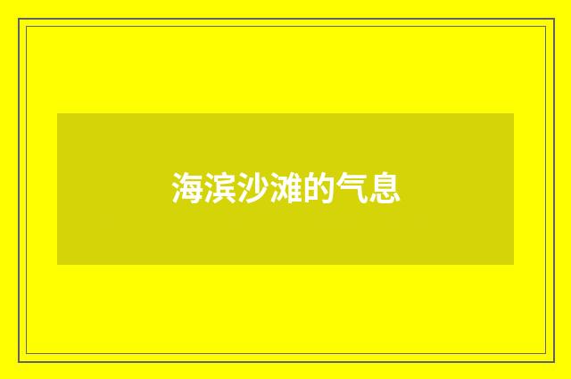 海滨沙滩的气息