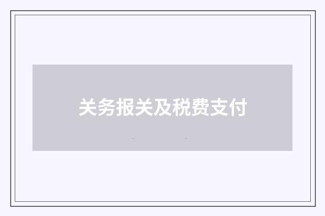 关务报关及税费支付