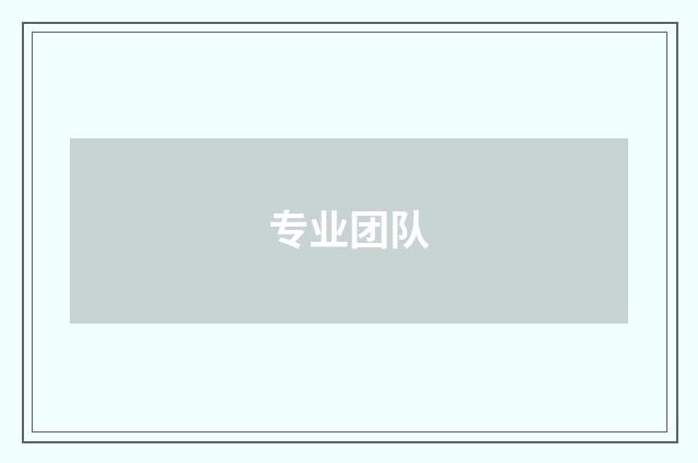 专业团队
