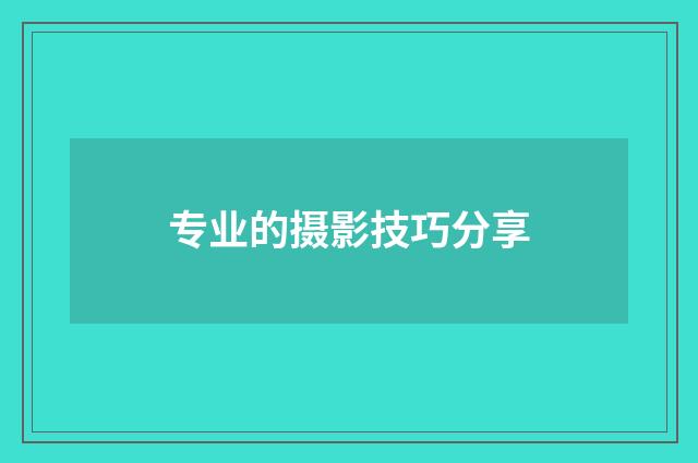 专业的摄影技巧分享
