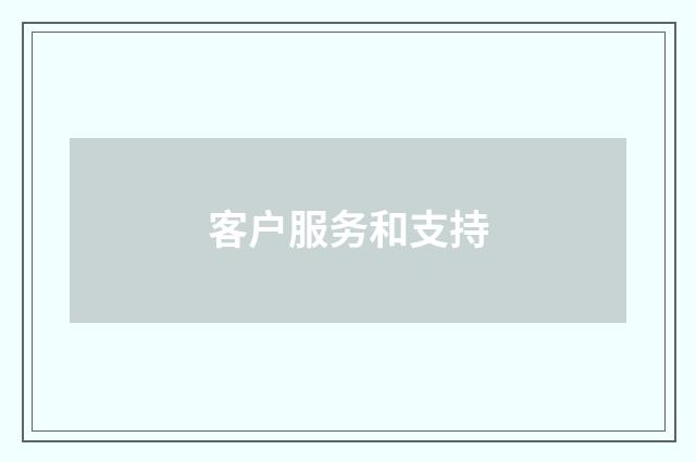 客户服务和支持