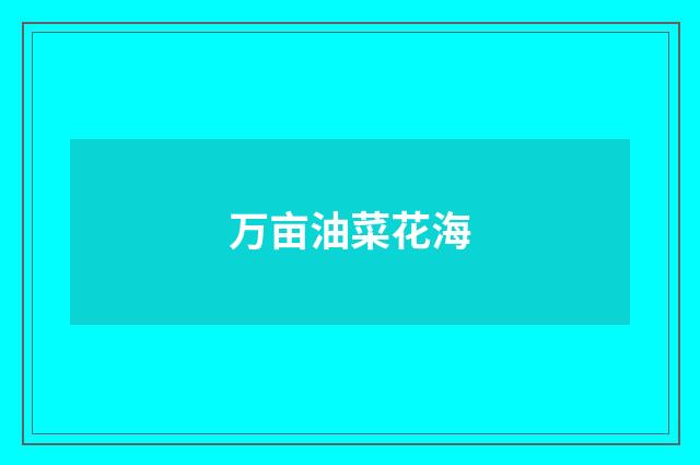 万亩油菜花海