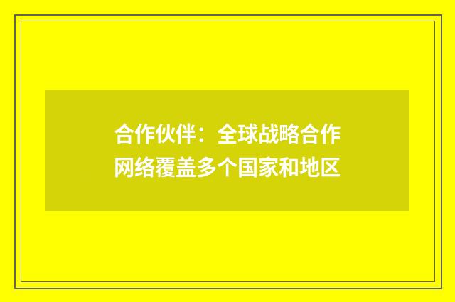 合作伙伴:全球战略合作网络覆盖多个国家和地区