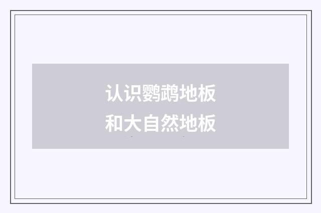 认识鹦鹉地板和大自然地板