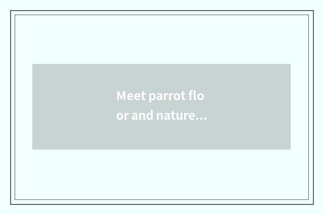 Meet parrot floor and nature floor board