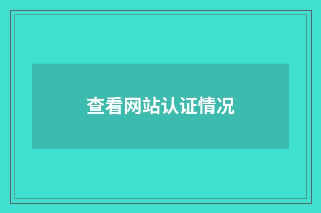 查看网站认证情况