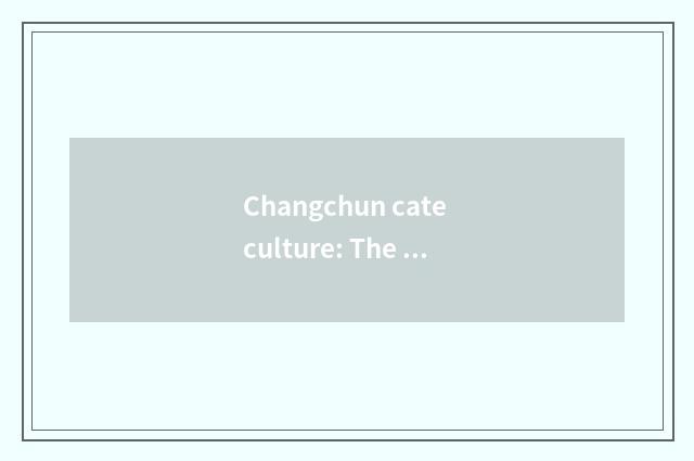 Changchun cate culture: The perfect confluence of inheritance and innovation