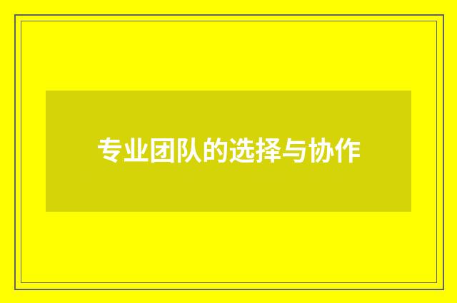 专业团队的选择与协作