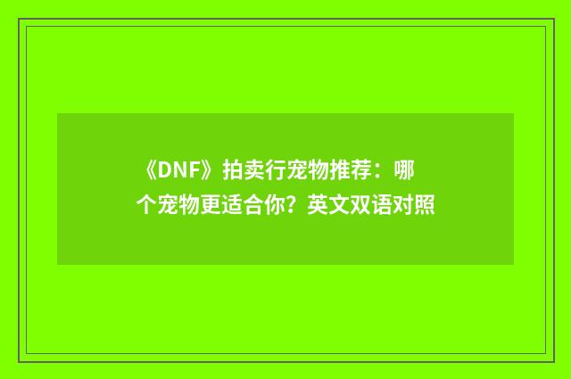 《DNF》拍卖行宠物推荐:哪个宠物更适合你?英文双语对照