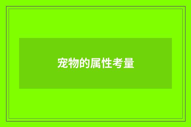 宠物的属性考量
