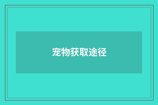 宠物获取途径