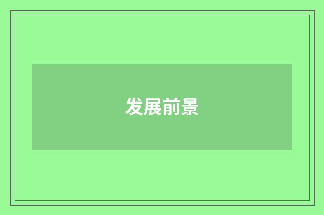 发展前景