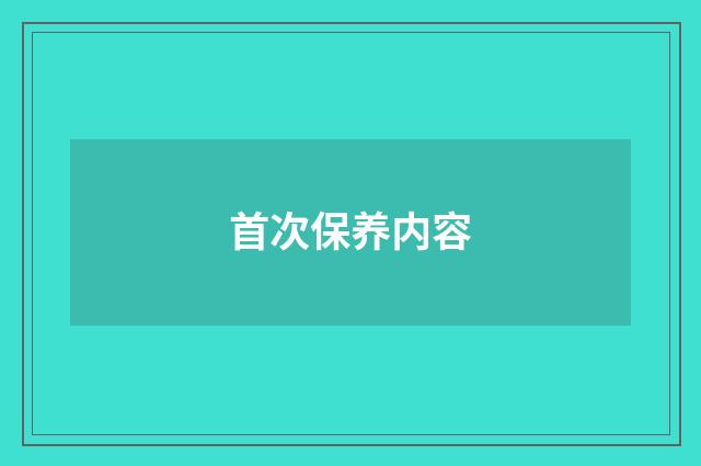 首次保养内容