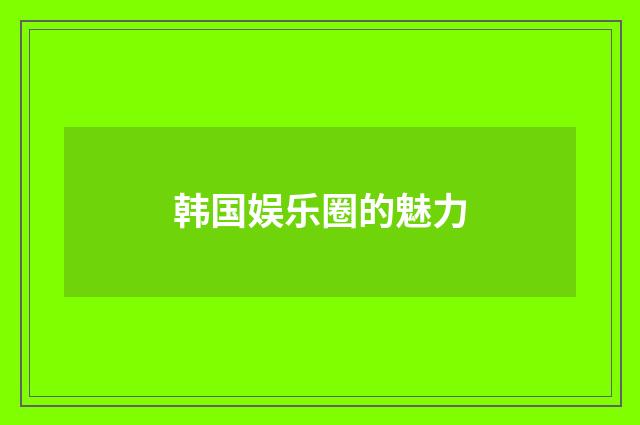 韩国娱乐圈的魅力