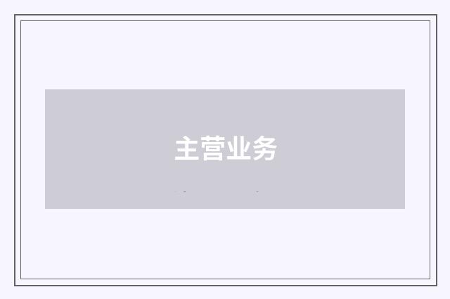 主营业务