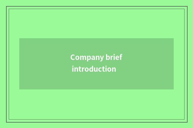Company brief introduction