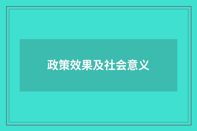 政策效果及社会意义
