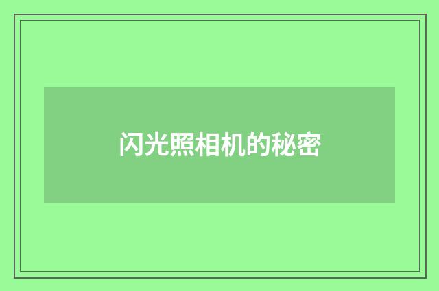 闪光照相机的秘密