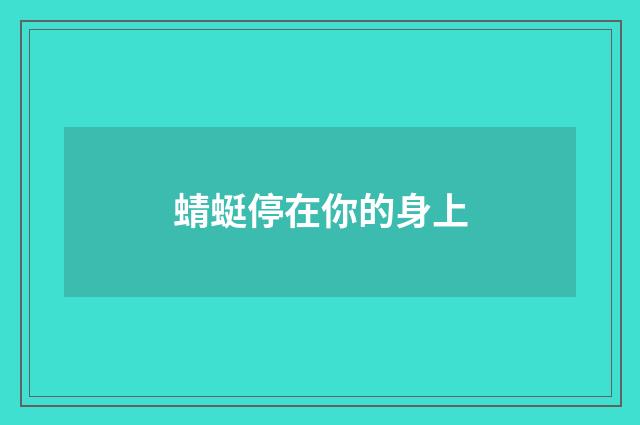 蜻蜓停在你的身上