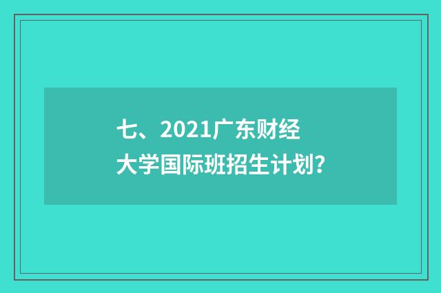 七、2021广东财经大学国际班招生计划?