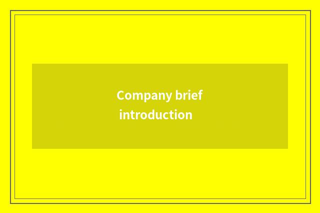 Company brief introduction