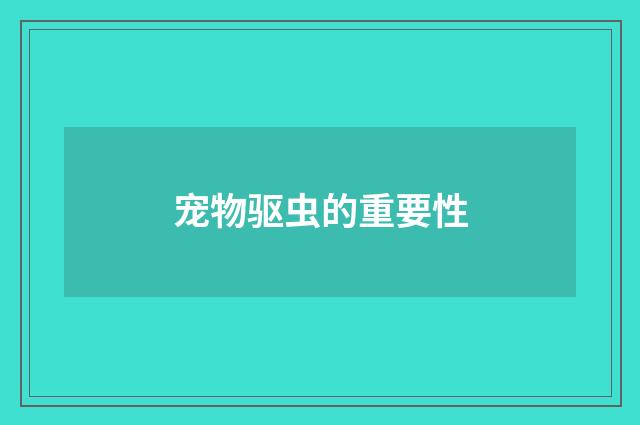 宠物驱虫的重要性