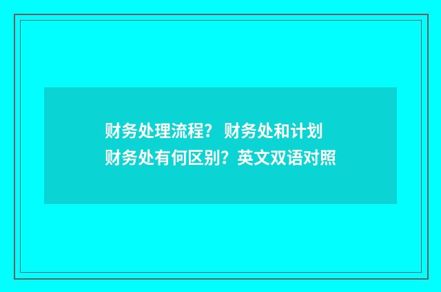 财务处理流程? 财务处和计划财务处有何区别?英文双语对照