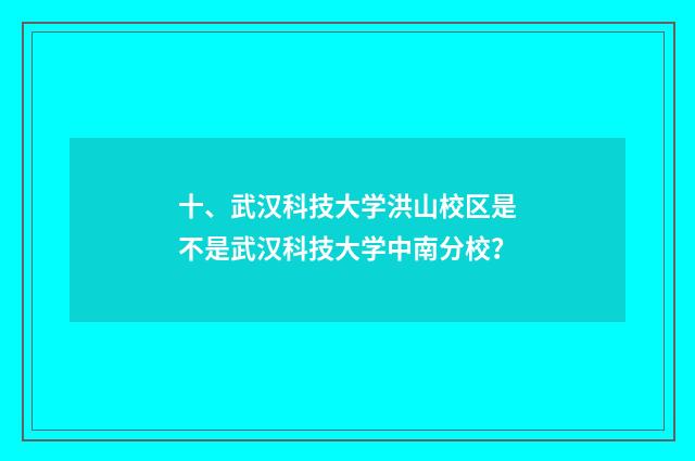 十、武汉科技大学洪山校区是不是武汉科技大学中南分校？