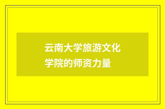云南大学旅游文化学院的师资力量