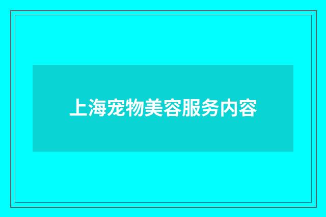 上海宠物美容服务内容