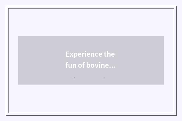 Experience the fun of bovine ox game
