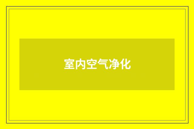 室内空气净化