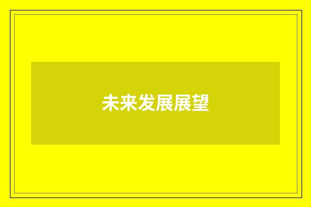 未来发展展望