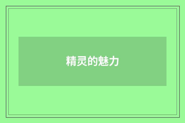 精灵的魅力