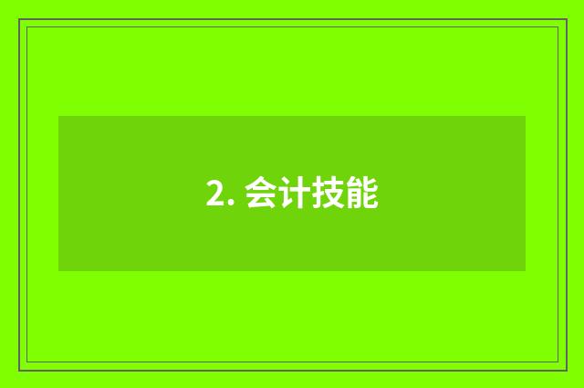 2. 会计技能