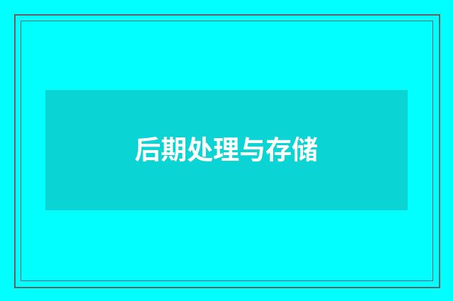 后期处理与存储