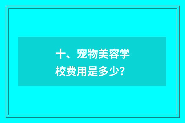 十、宠物美容学校费用是多少?