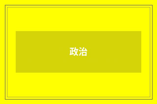 政治