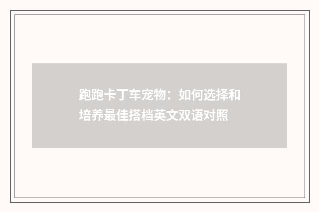 跑跑卡丁车宠物:如何选择和培养最佳搭档英文双语对照