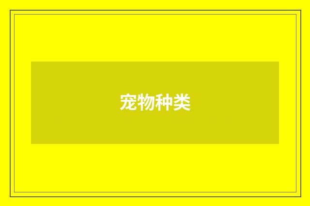 宠物种类