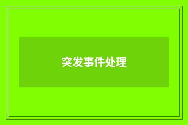 突发事件处理