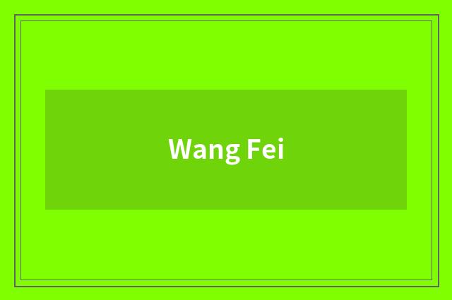 Wang Fei