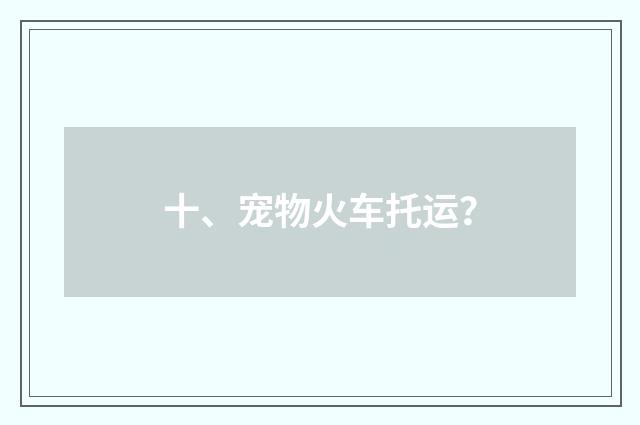 十、宠物火车托运?